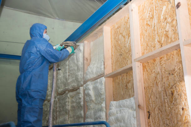 Insulation Replacement Services in Corydon, IA